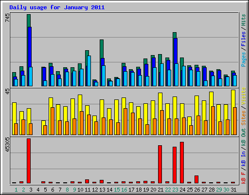 Daily usage for January 2011