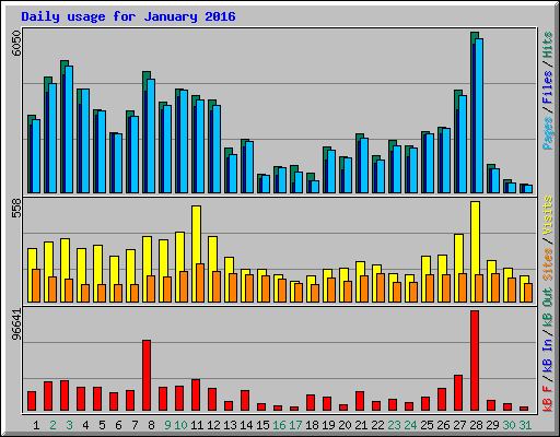 Daily usage for January 2016