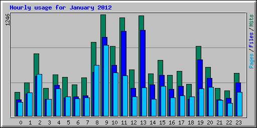 Hourly usage for January 2012