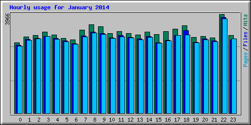 Hourly usage for January 2014