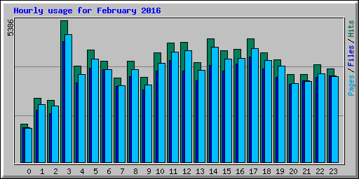 Hourly usage for February 2016